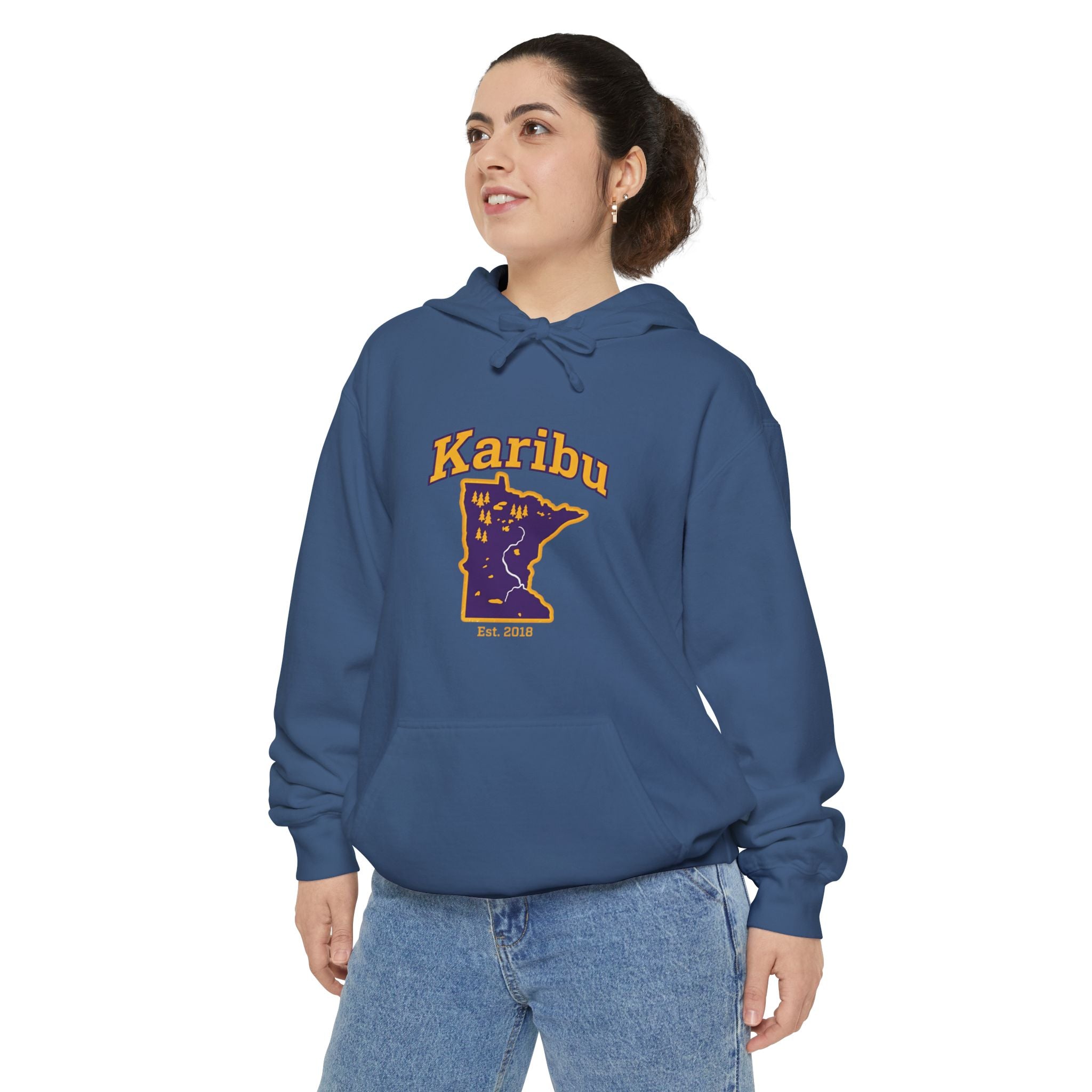 Karibu Minnesota Map Hoodie — Retro Night Sky State Pride Pullover