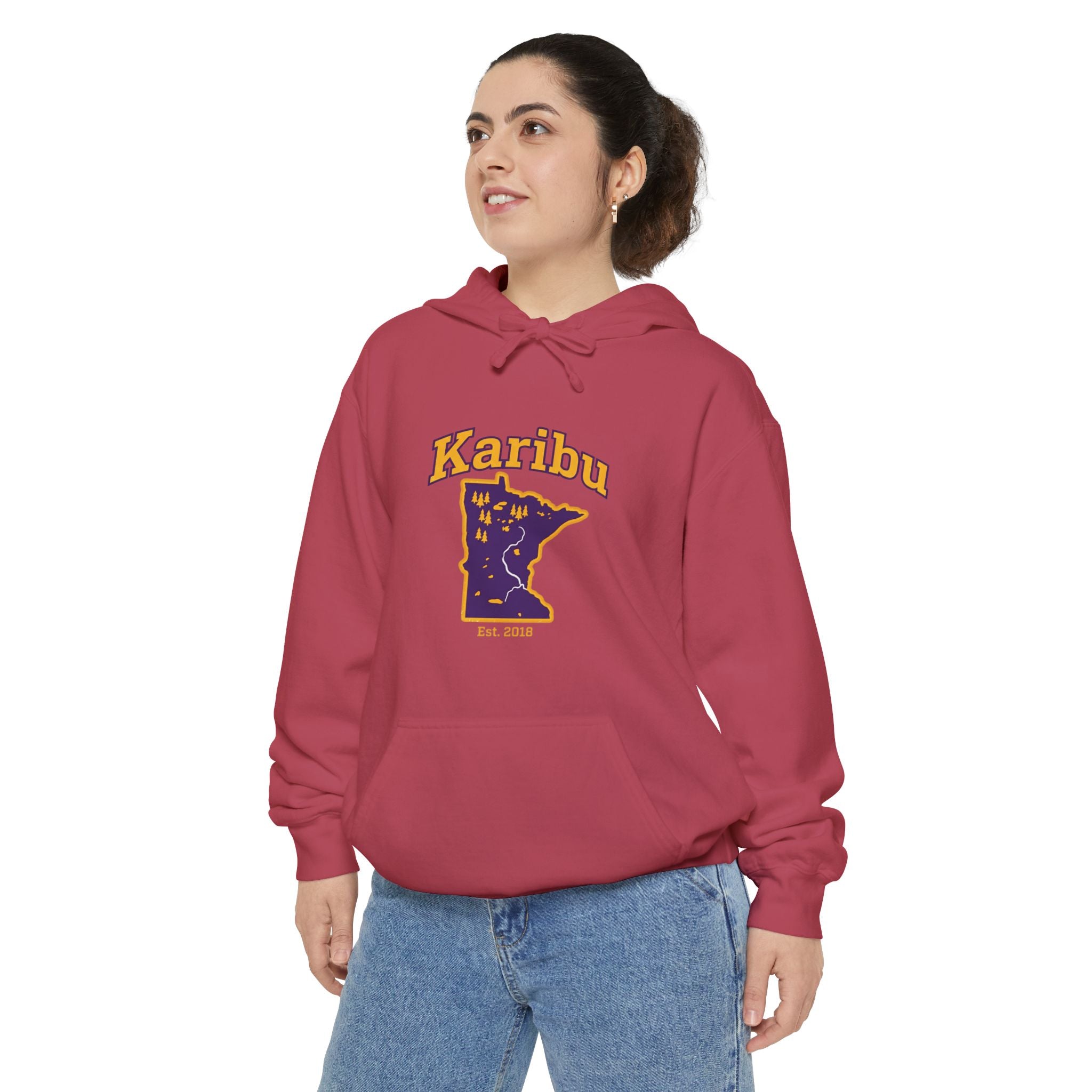 Karibu Minnesota Map Hoodie — Retro Night Sky State Pride Pullover