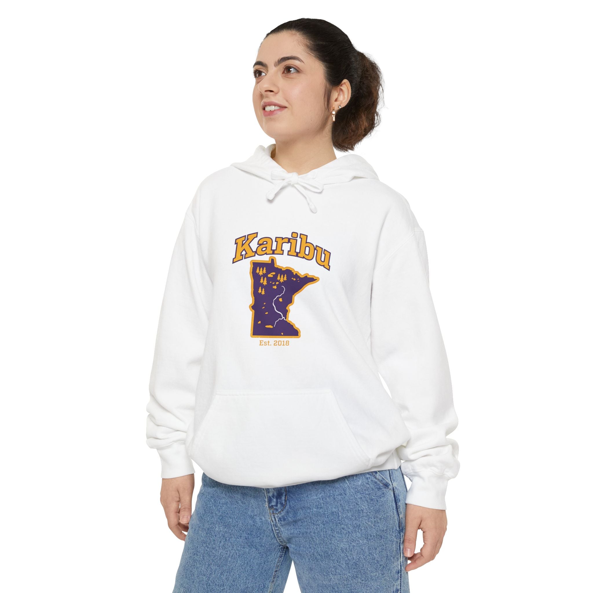 Karibu Minnesota Map Hoodie — Retro Night Sky State Pride Pullover
