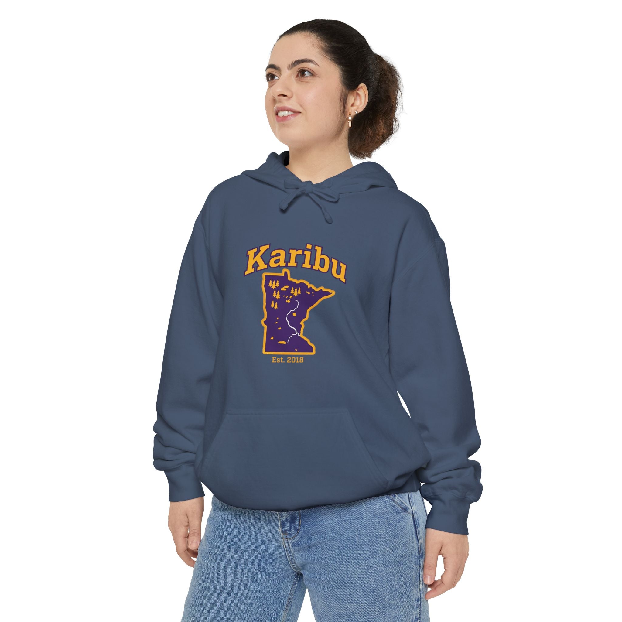 Karibu Minnesota Map Hoodie — Retro Night Sky State Pride Pullover